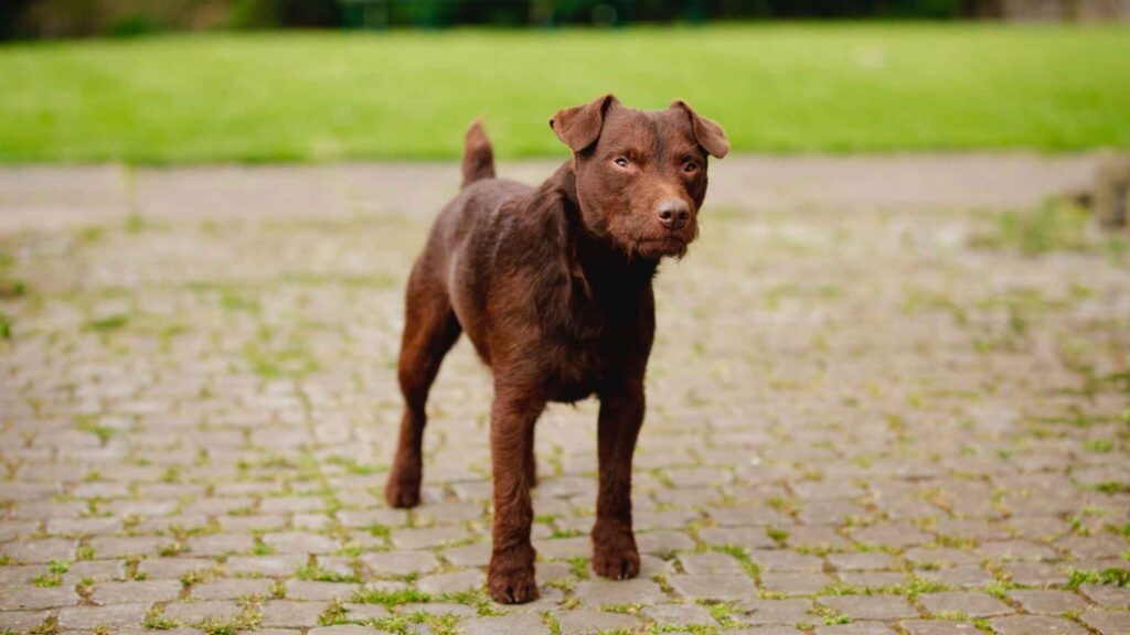 Patterdale