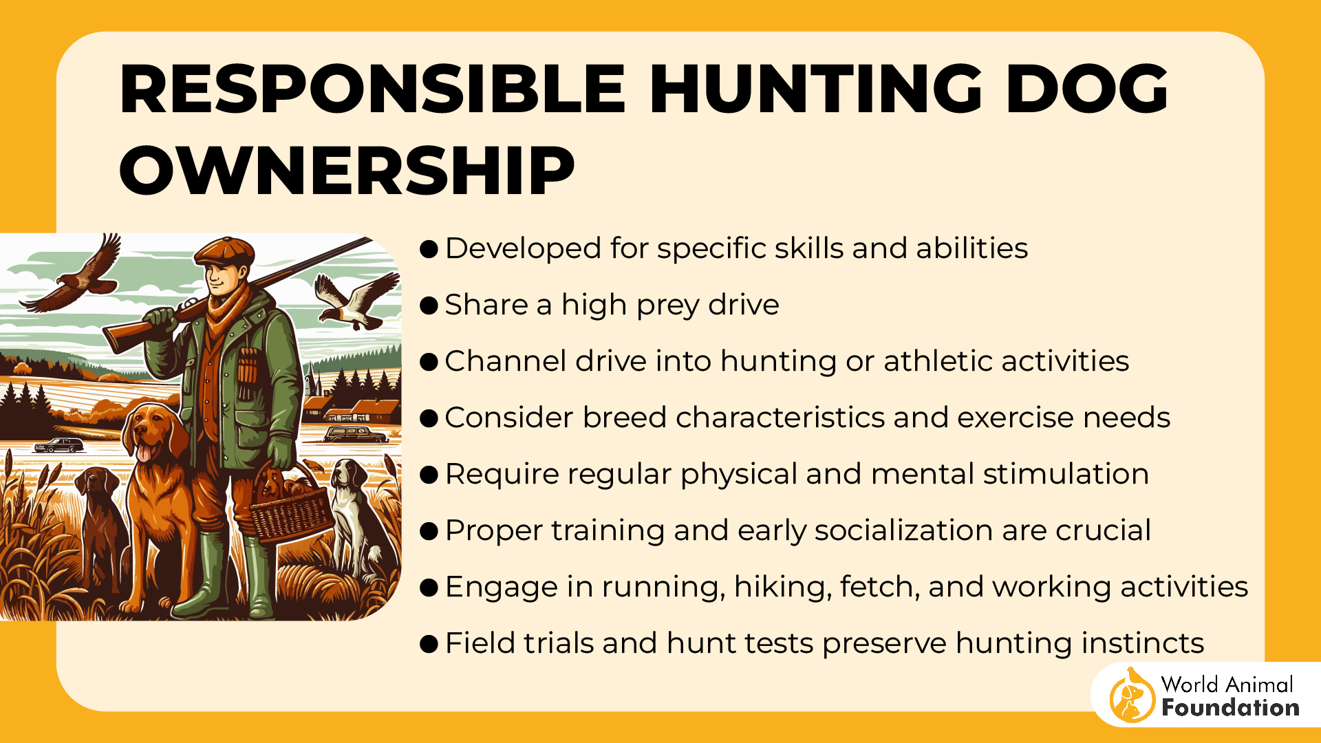 Responsible Hunting Dog Ownership-01