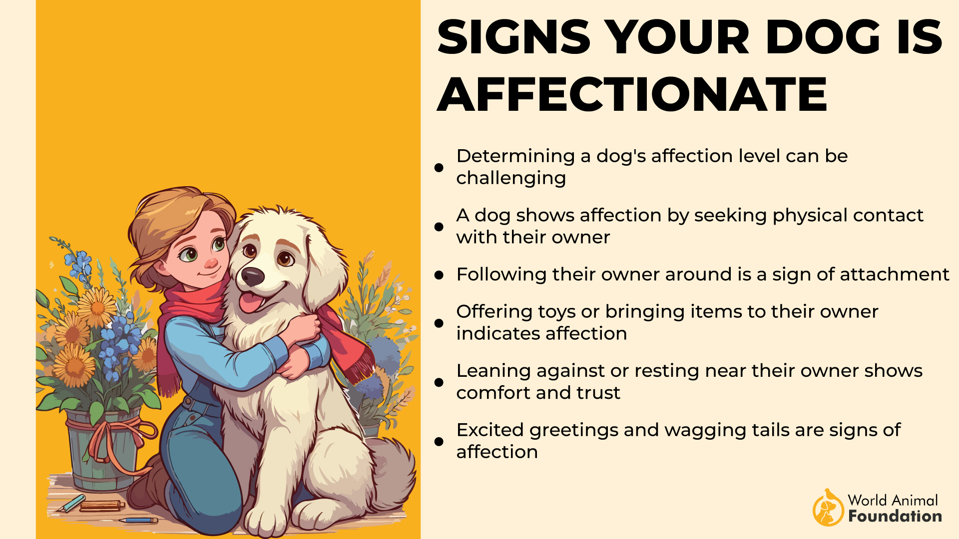 Signs Your Dog is Affectionate-01