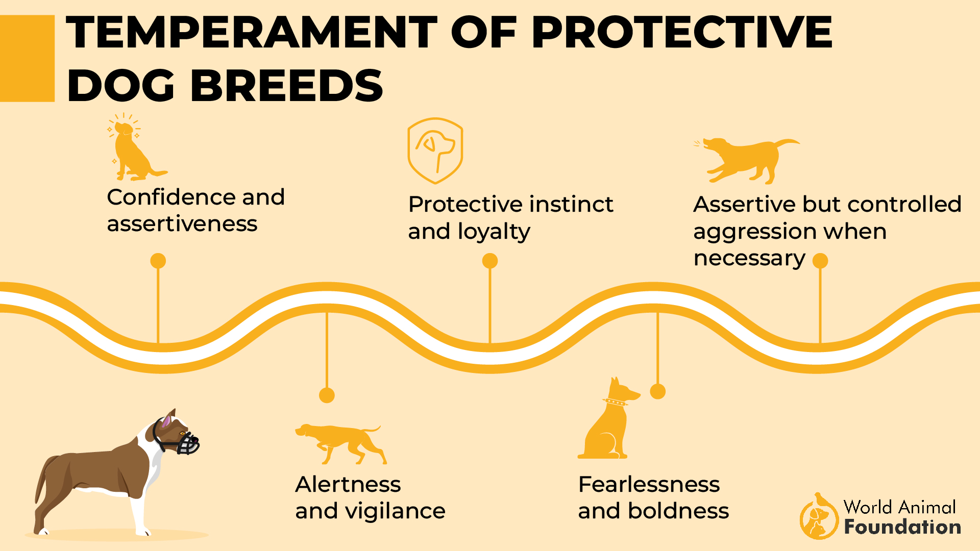 Temperament Traits for Protective dog Breeds-01