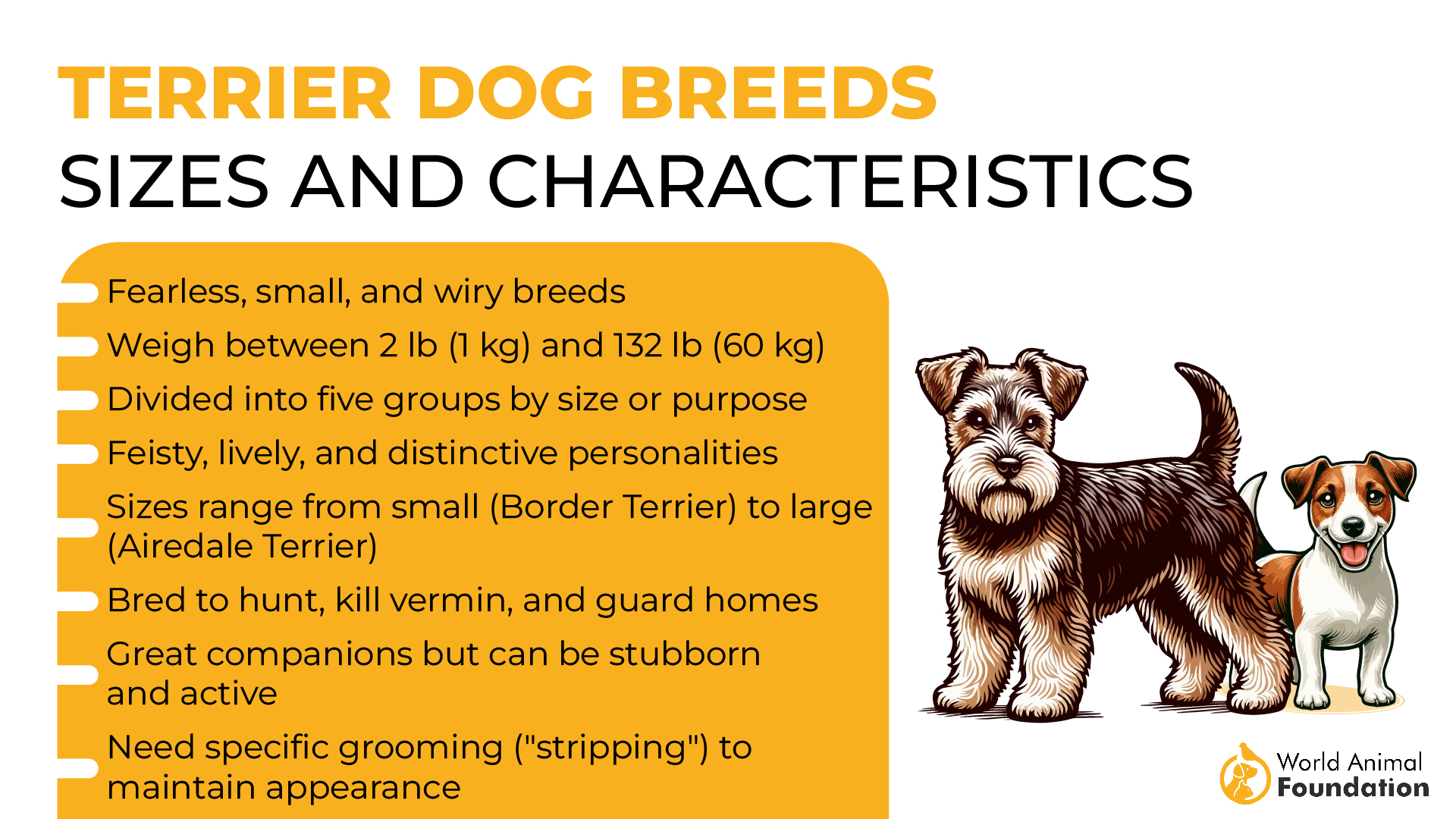 Terrier Dog Breeds – Sizes and Characteristics-01