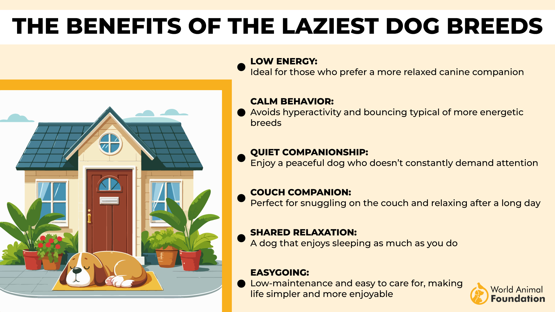 The Benefits of the Laziest Dog Breeds-01