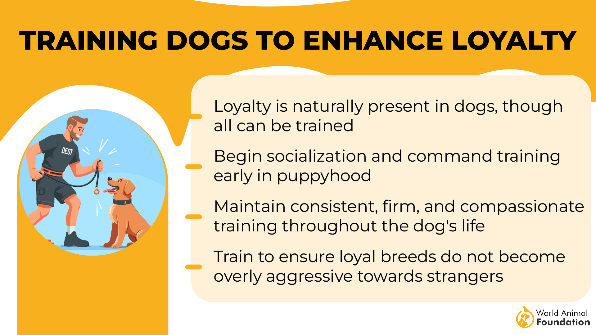 Training Dogs to Enhance Loyalty-01