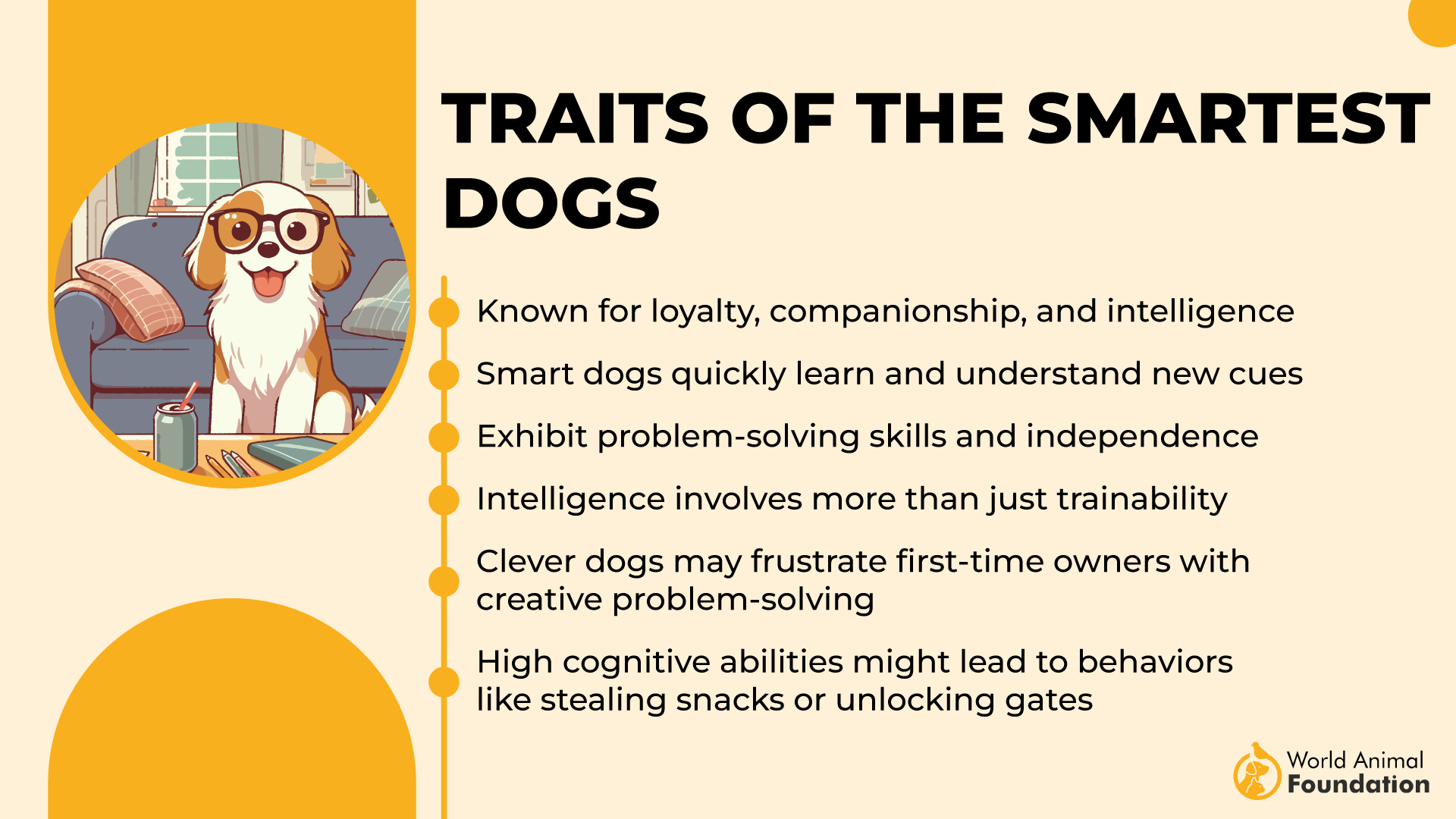 Traits of the Smartest Dogs-01