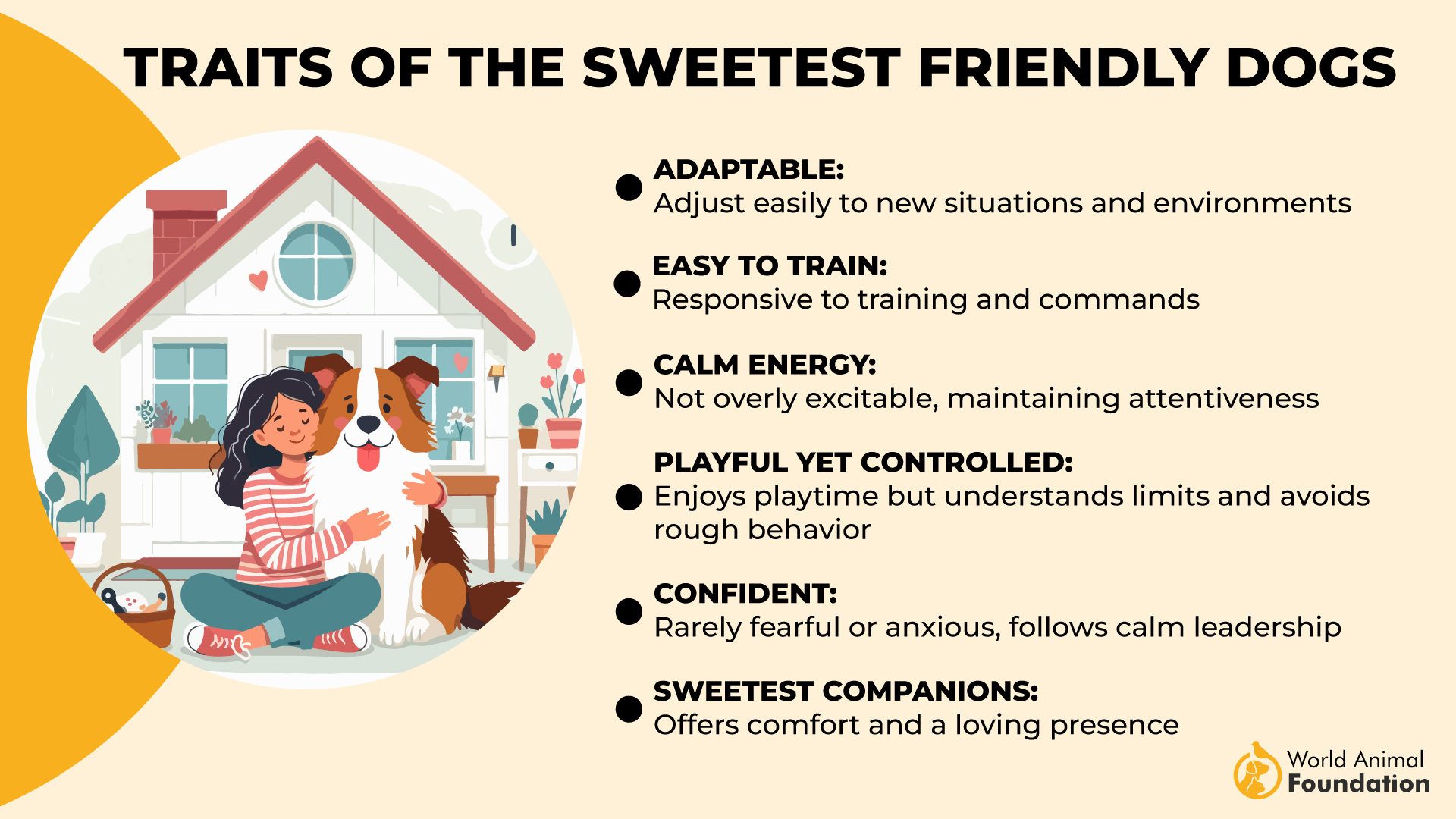 Traits of the Sweetest Friendly Dogs-01