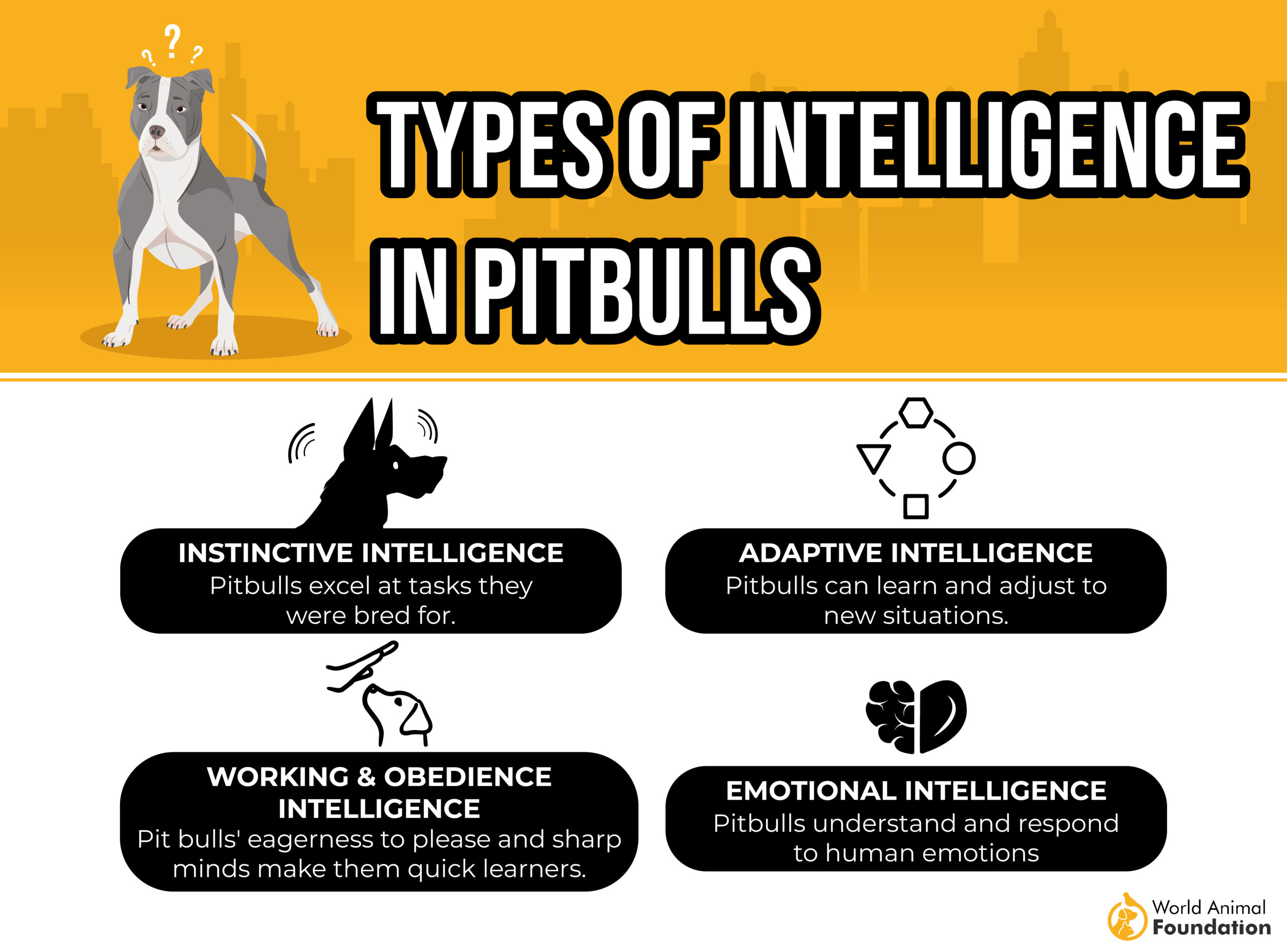 Type of Intelligence in Pitbulls-01