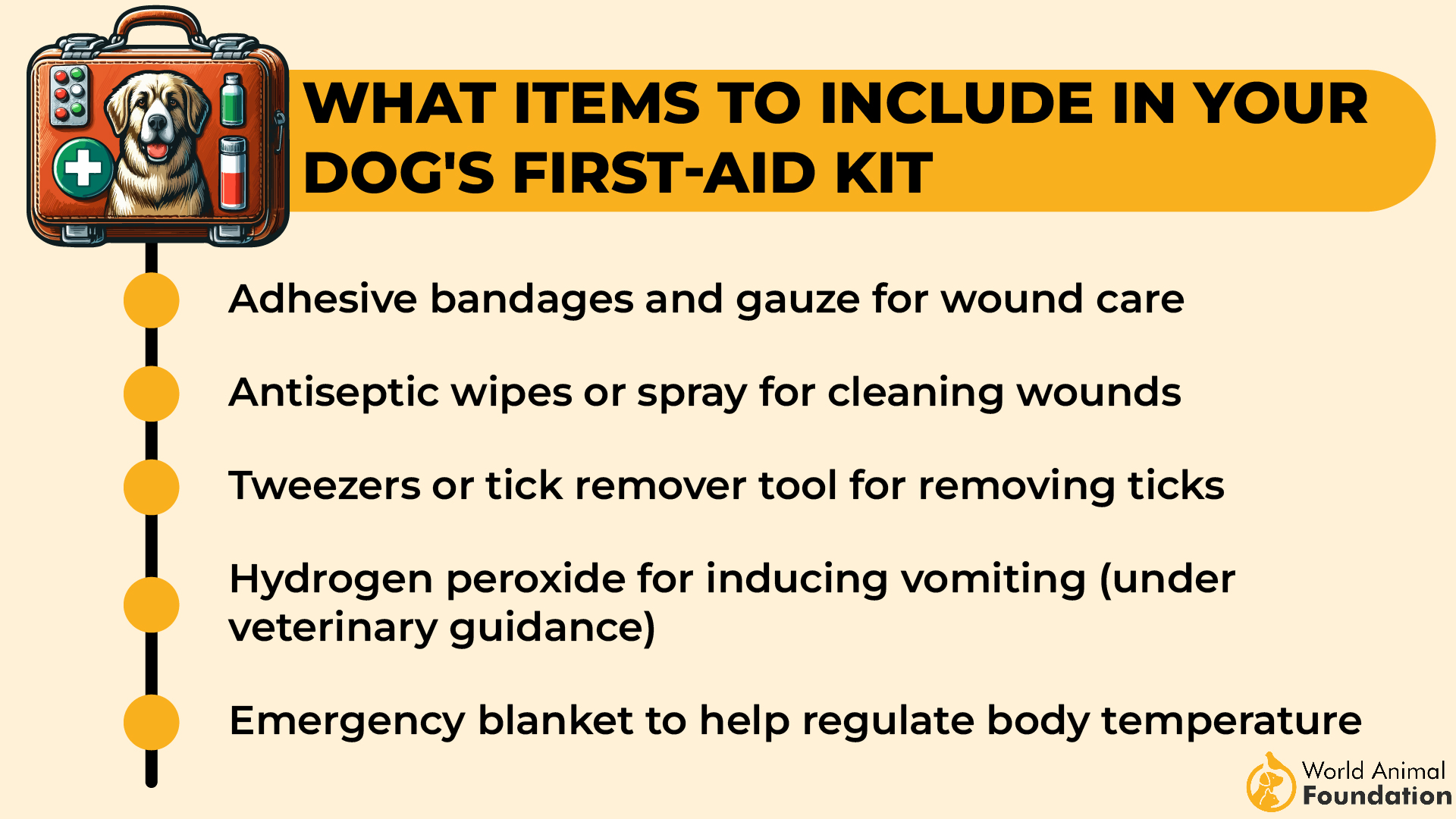 What Items to Include in Your Dog_s First-Aid Kit-01