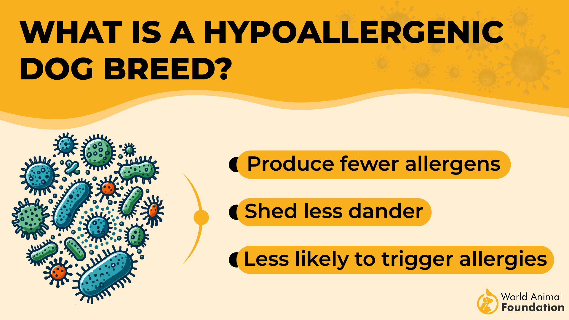 What does hypoallergenic mean-01