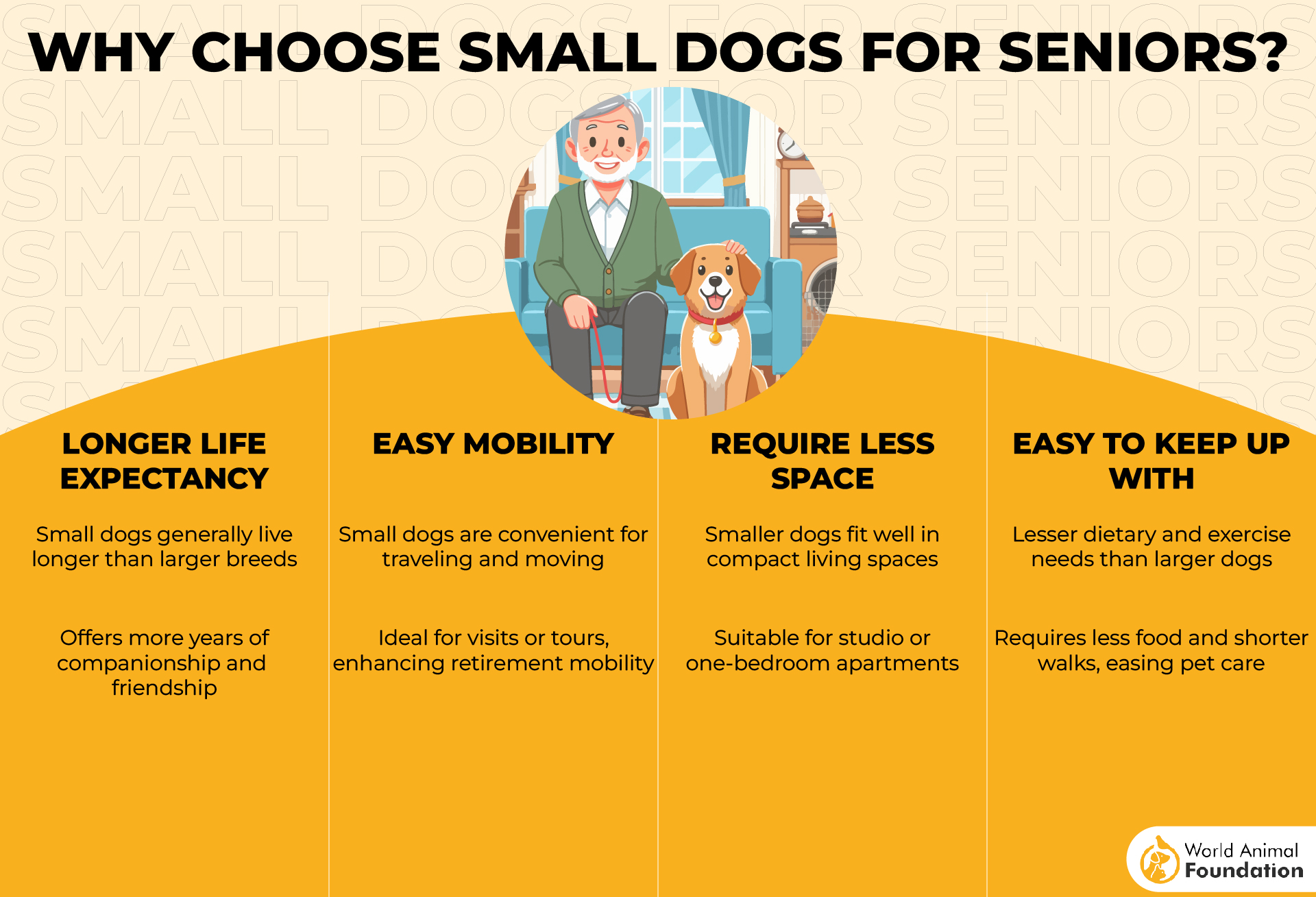 Why Choose Small Dogs for Seniors-01