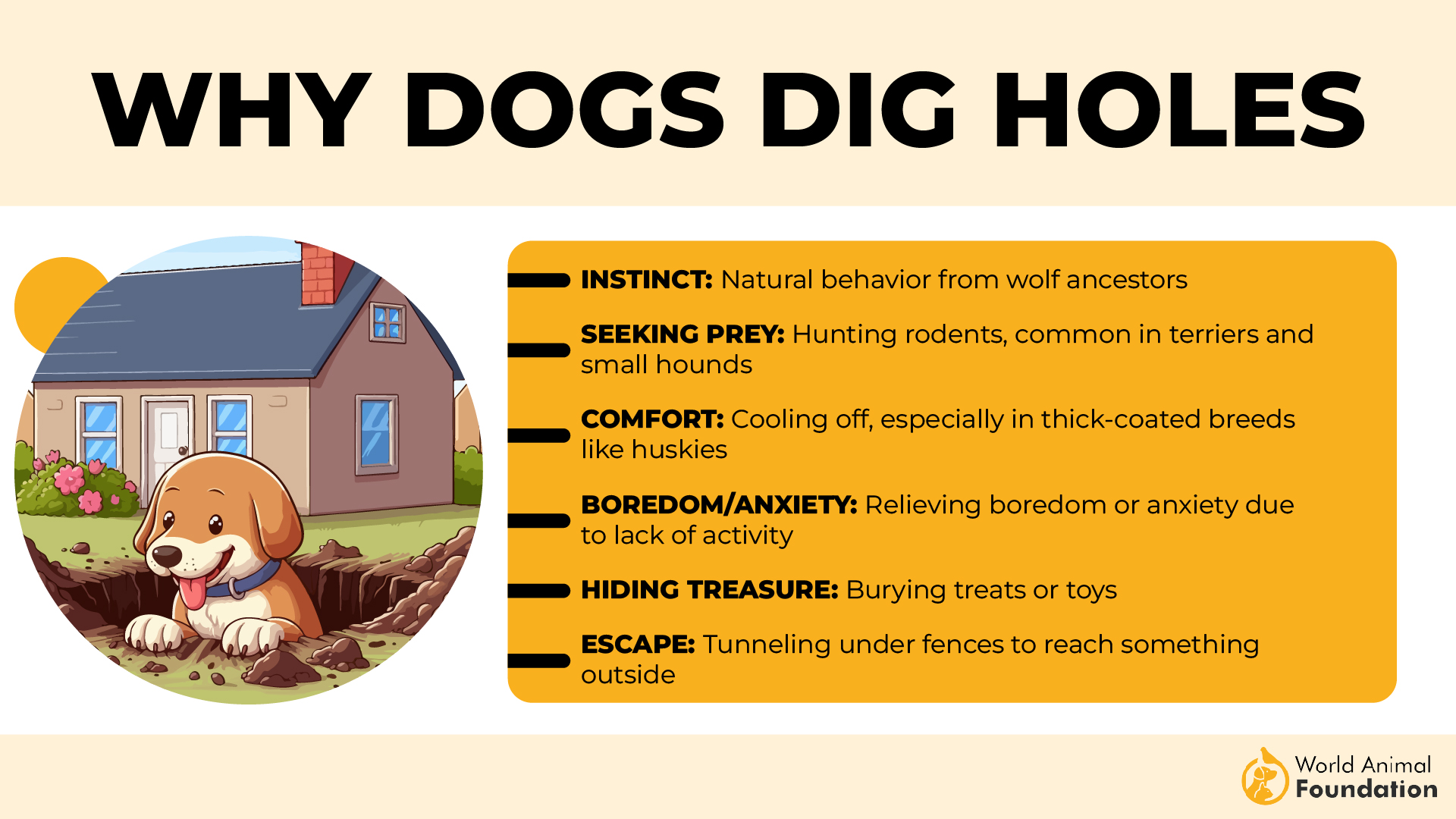 Why Dogs Dig Holes-01