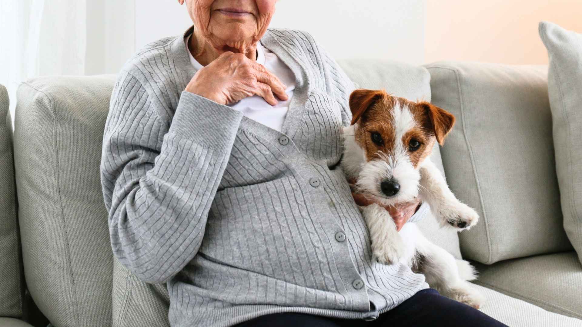 Worst Dog Breeds for Seniors