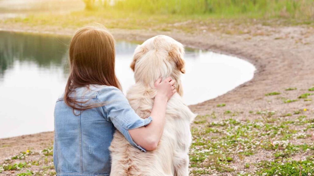 are golden retriever Great Support Companions