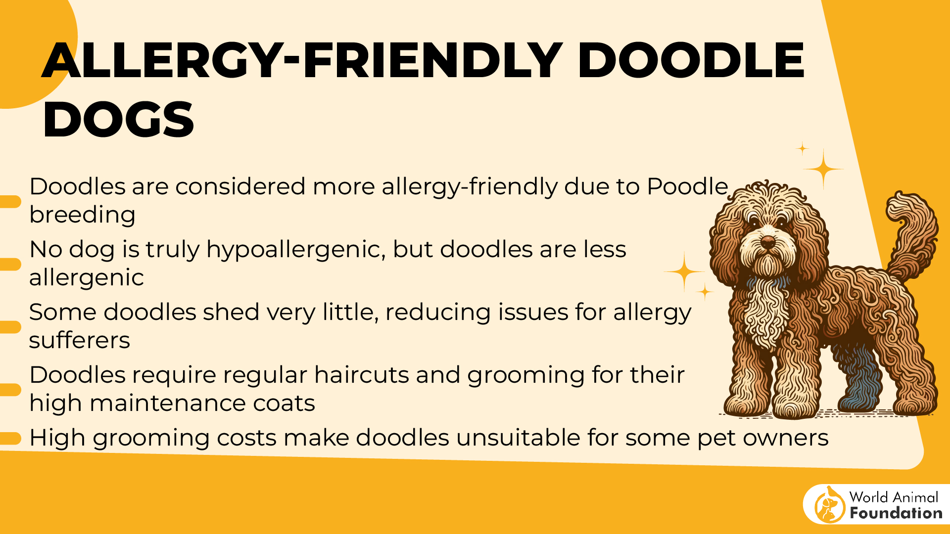 Allergy-Friendly Doodle Dogs-01