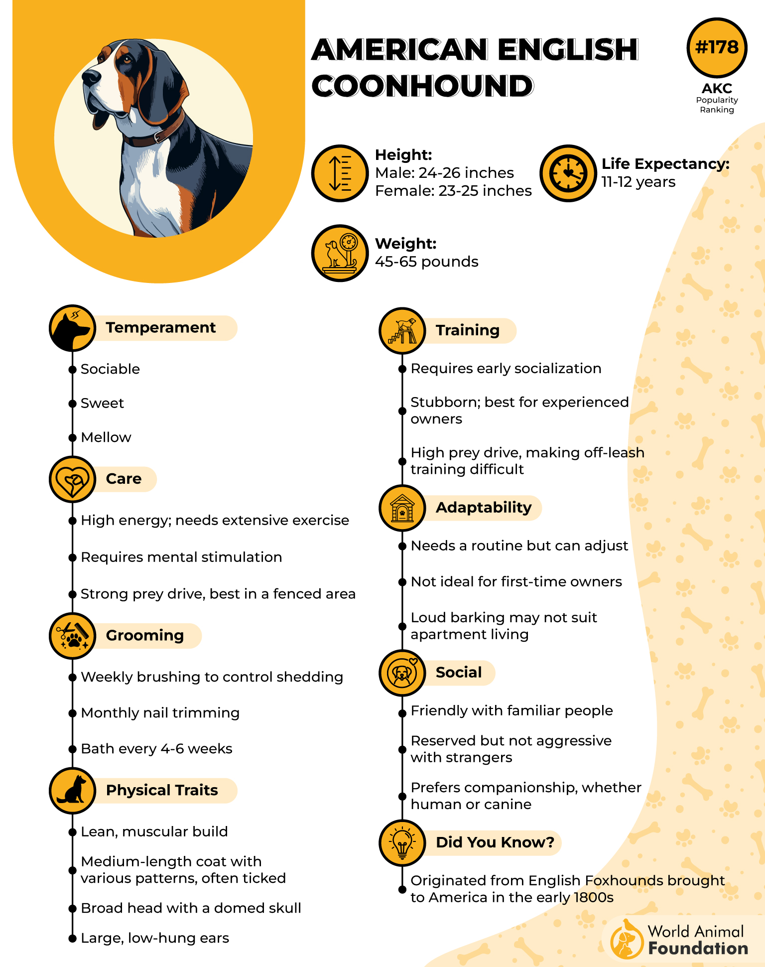 American English Coonhound Profile