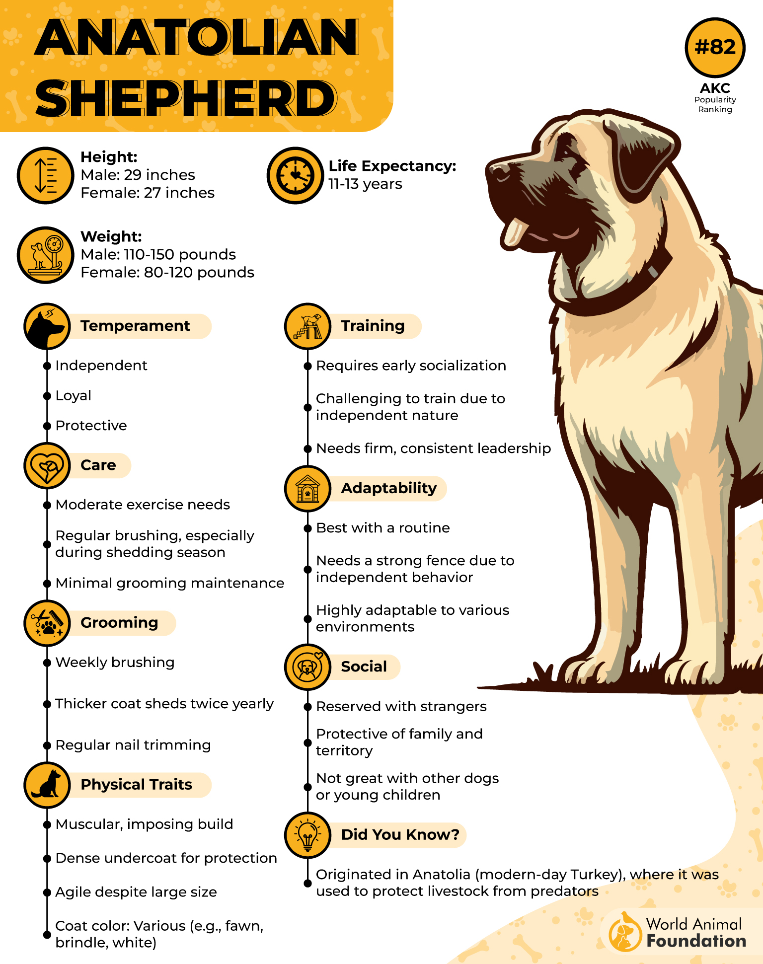 Anatolian Shepherd Profile