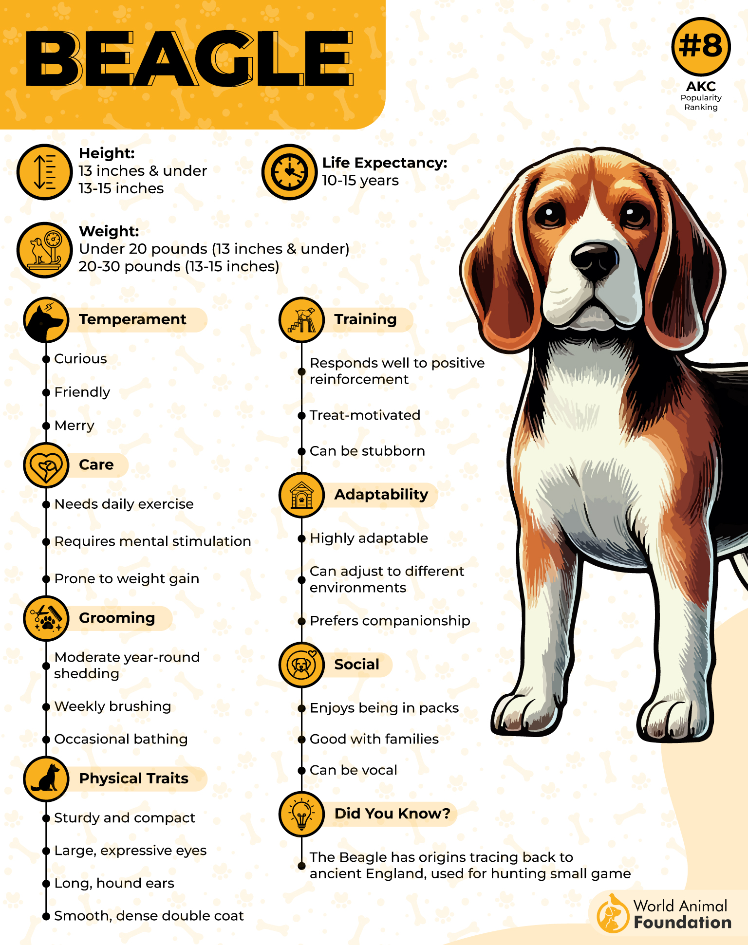 Beagle Profile