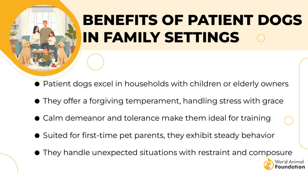 Benefits of Patient Dogs in Family Settings 01 5