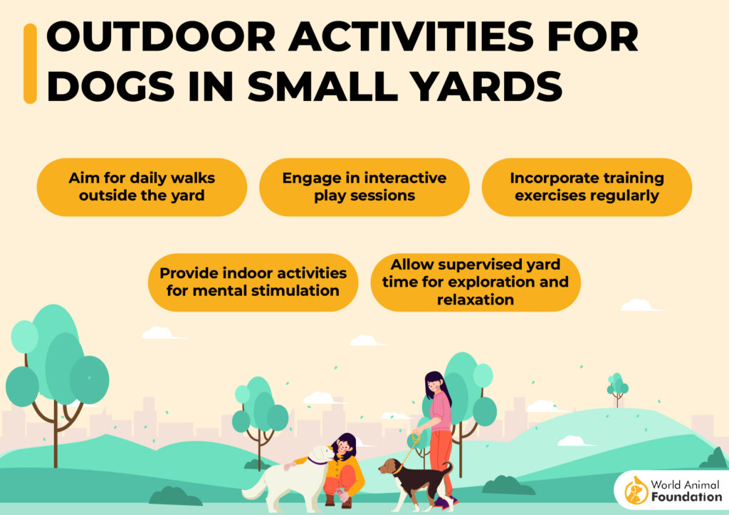 Best pets for small outdoor spaces