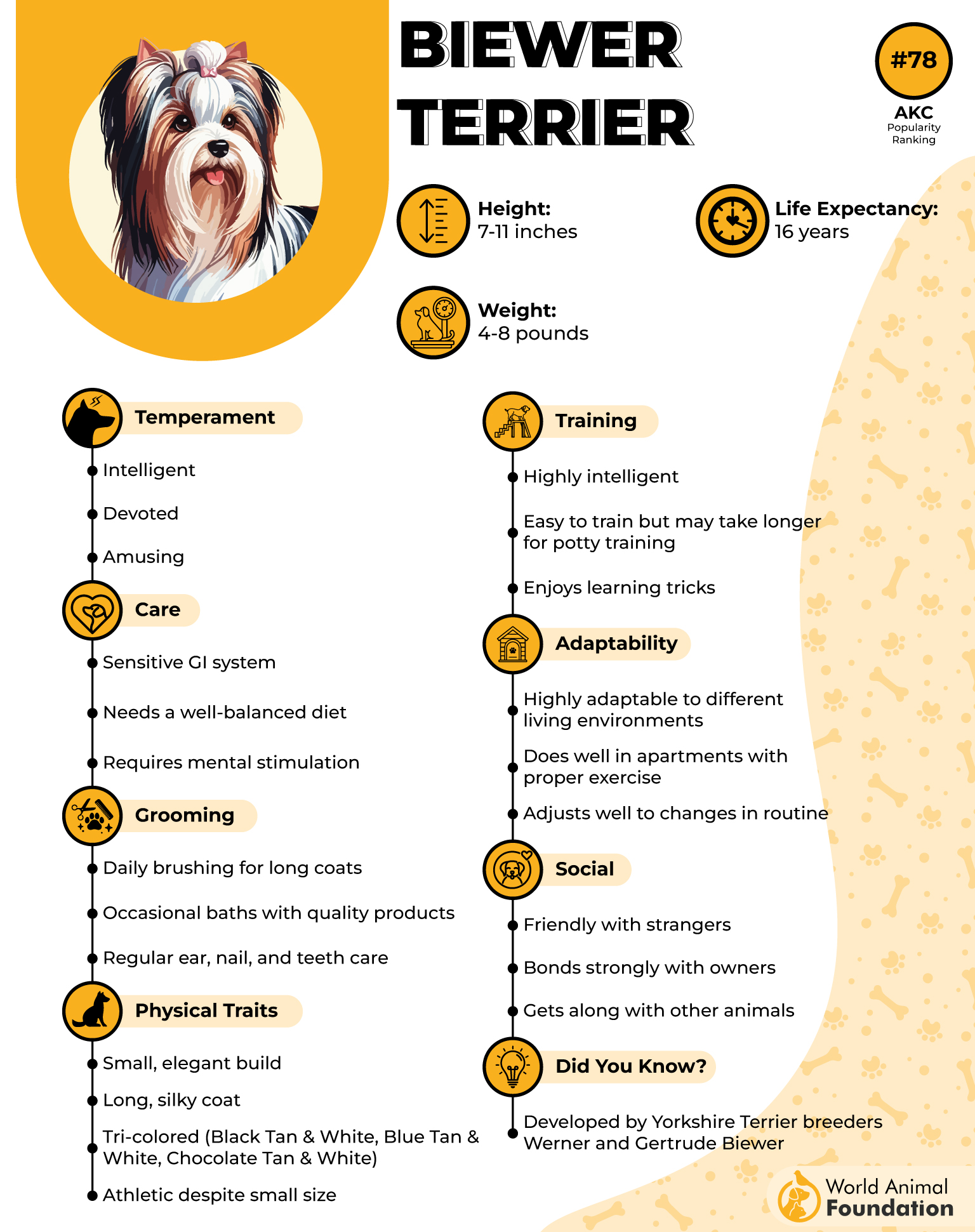 Biewer Terrier Profile