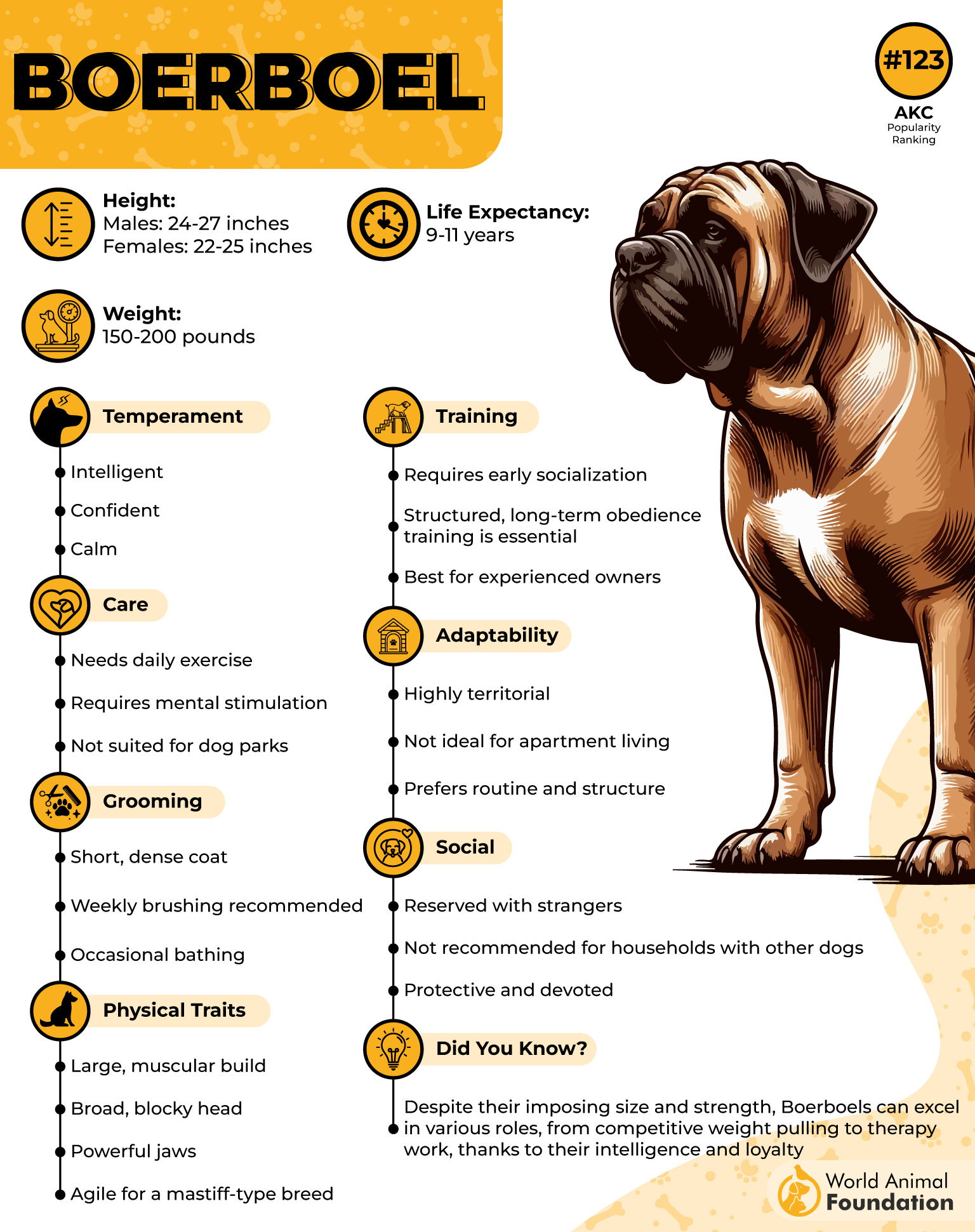 Boerboel Profile