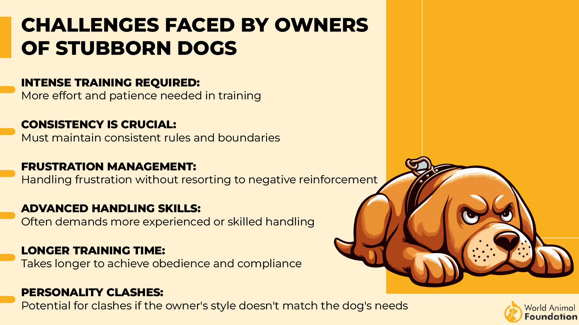 Challenges Faced by Owners of Stubborn Dogs-01