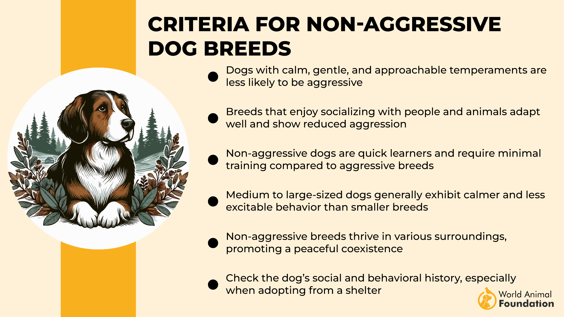 Criteria for Non-Aggressive Dog Breeds00-01