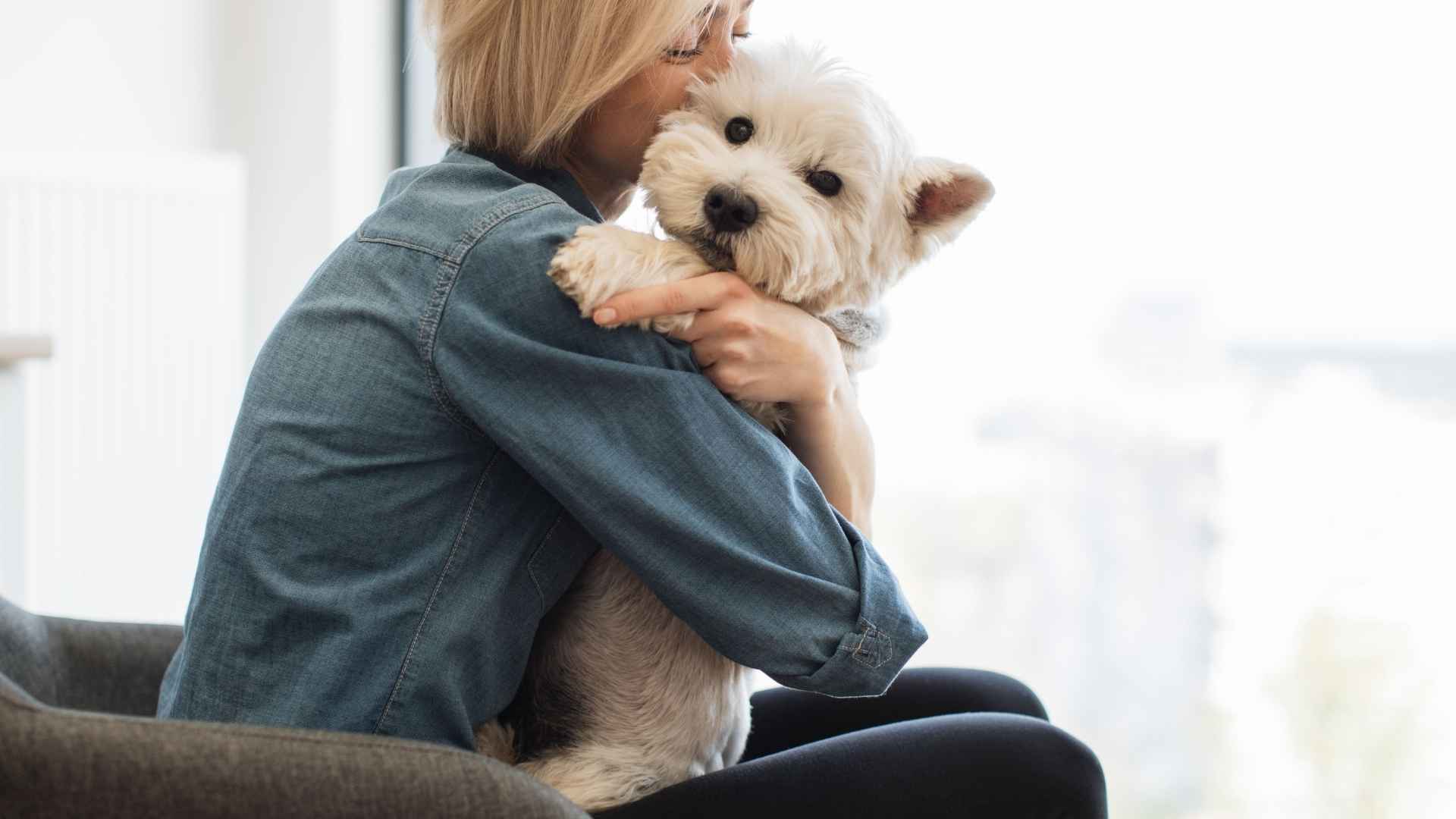 Dog Breeds That Cuddle the Most