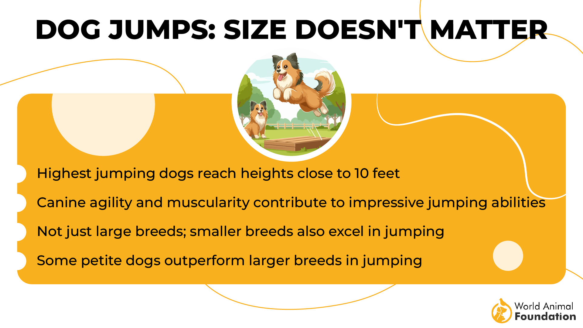 Dog Jumps Size Doesn't Matter-01