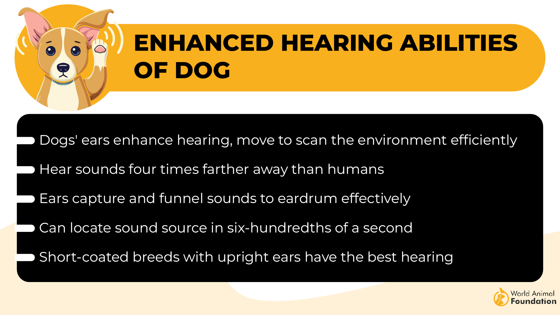 Enhanced Hearing Abilities of Dogs-01