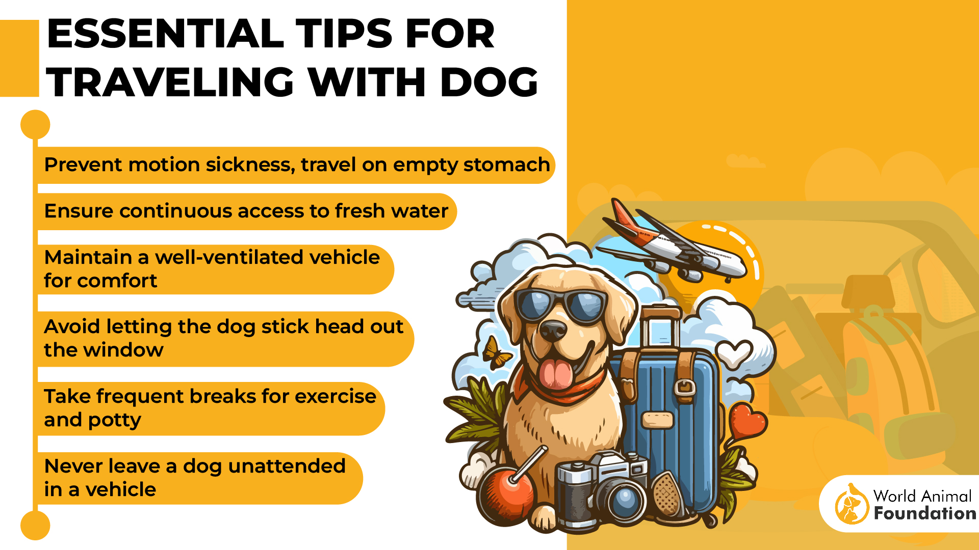 Essential Tips for Traveling with Dog-01