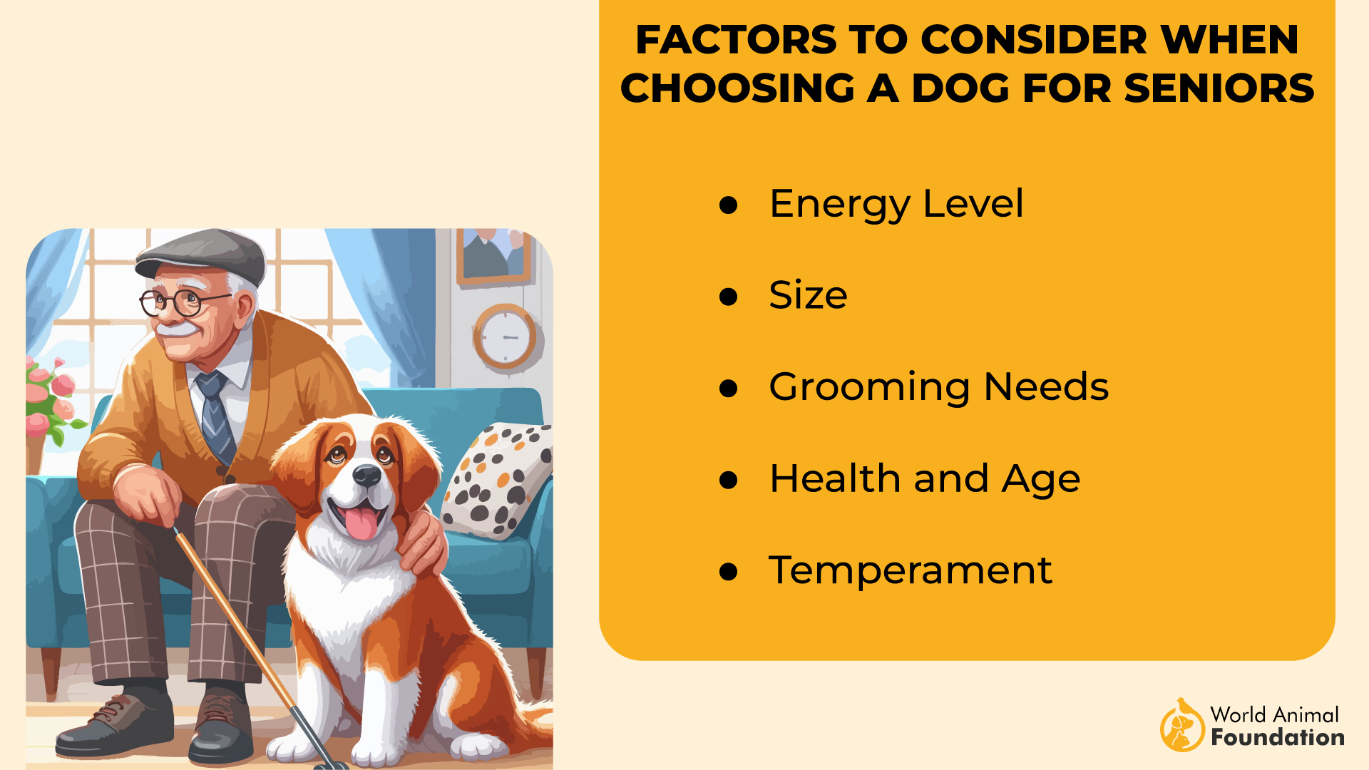 Factors to Consider When Choosing a Dog for Seniors