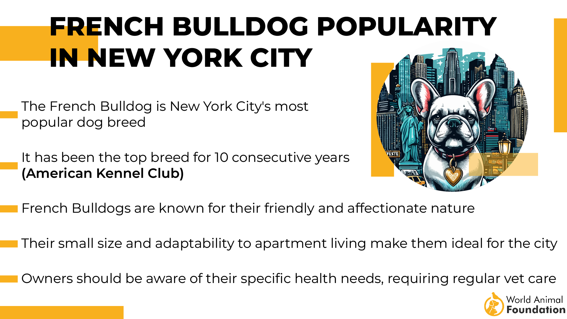 French Bulldog Popularity in New York City-01