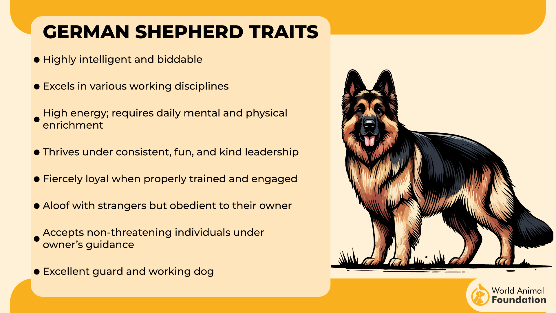 German Shepherd Traits-01