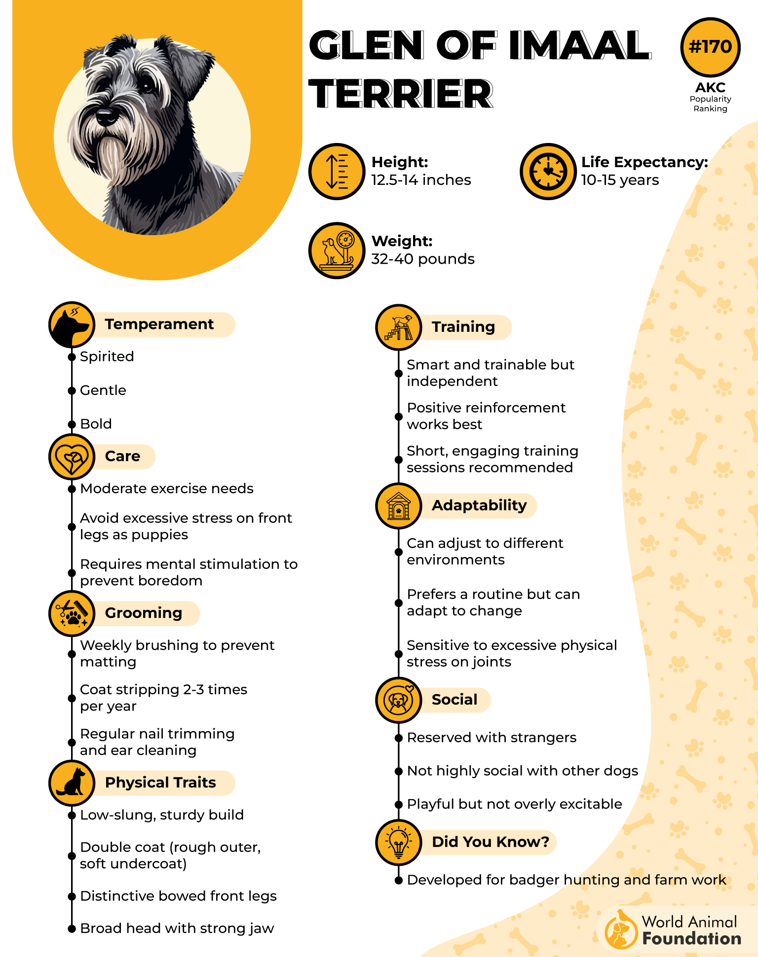 Glen of Imaal Terrier Profile