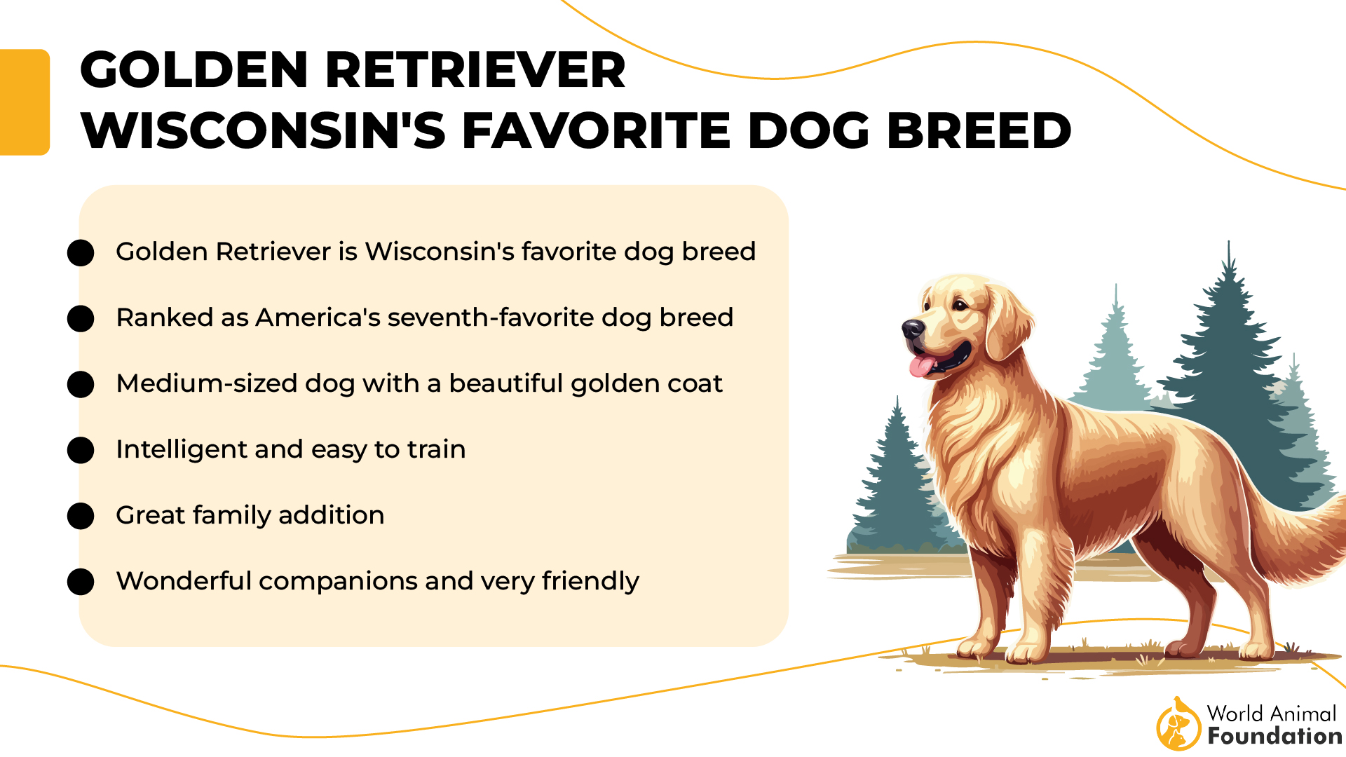 Golden Retriever - Wisconsin's Favorite Dog Breed-01