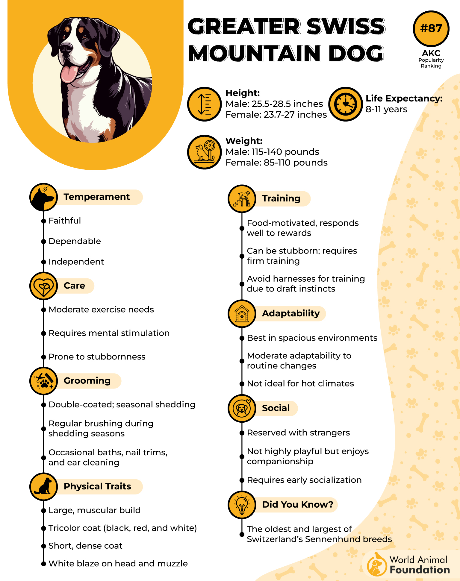 Greater Swiss Mountain Dog Profile