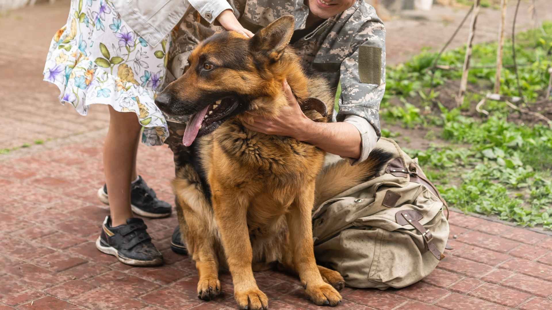 Guard Dog Breeds for Family Protection