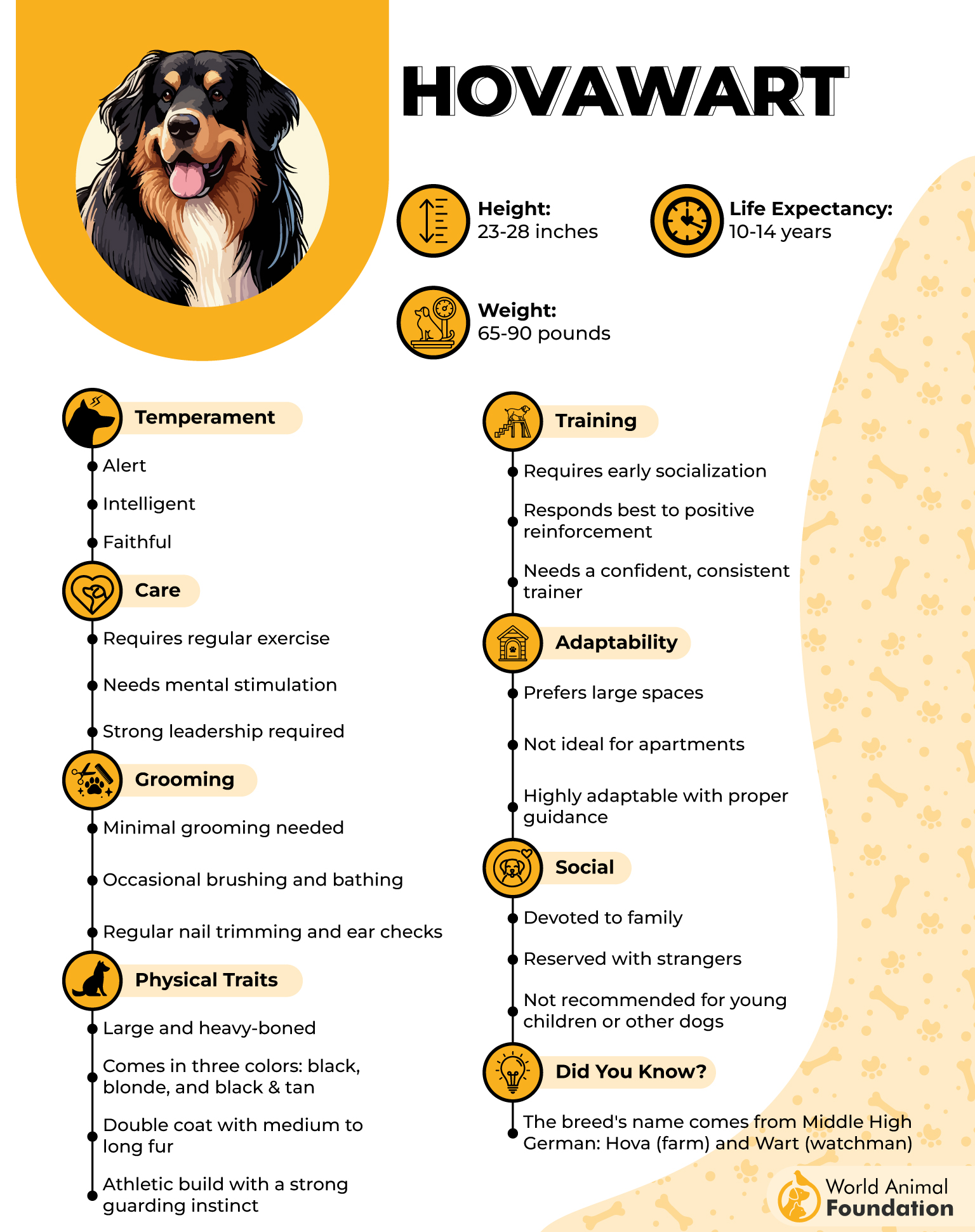 Hovawart Profile