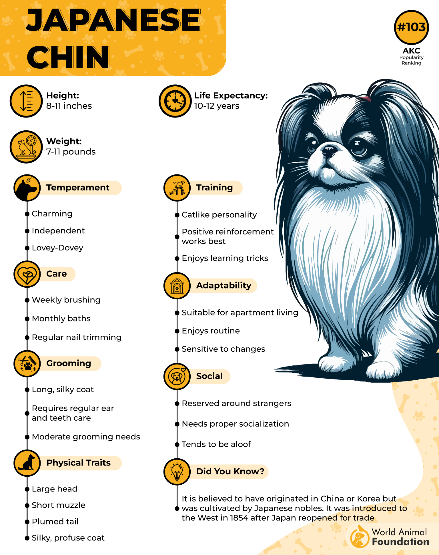 Japanese Chin Profile