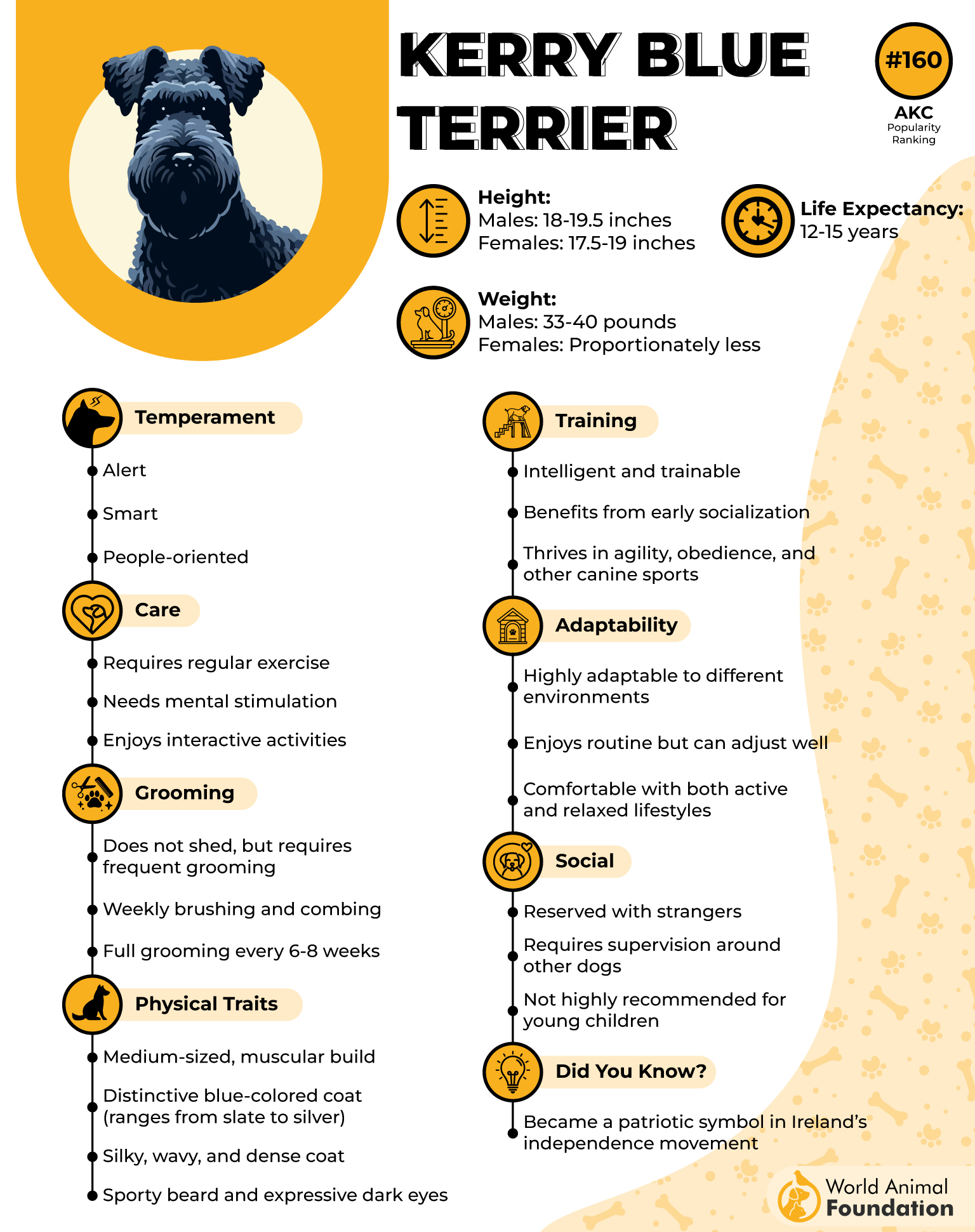 Kerry Blue Terrier Profile