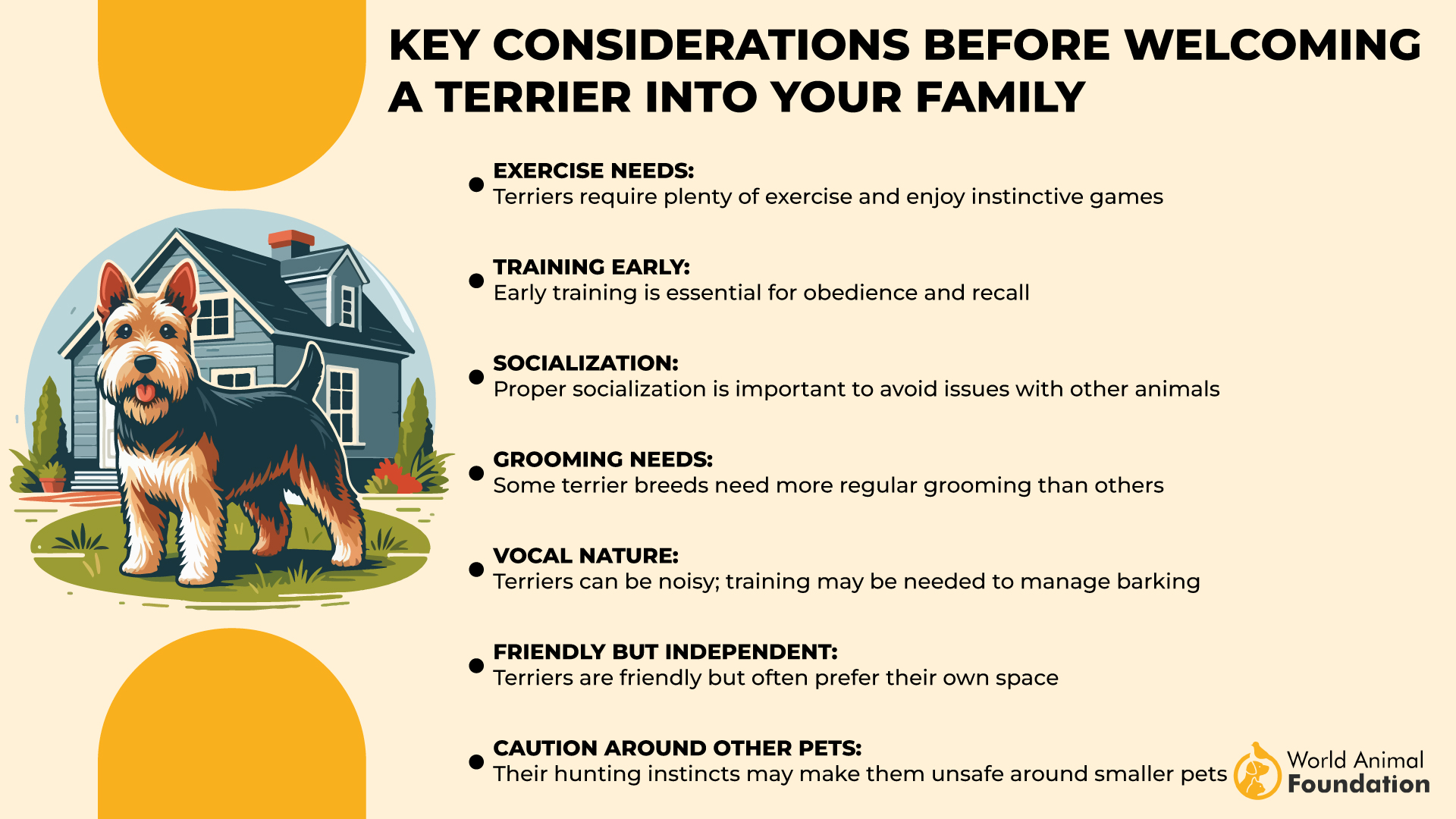 Key Considerations Before Welcoming a Terrier into Your Family-01