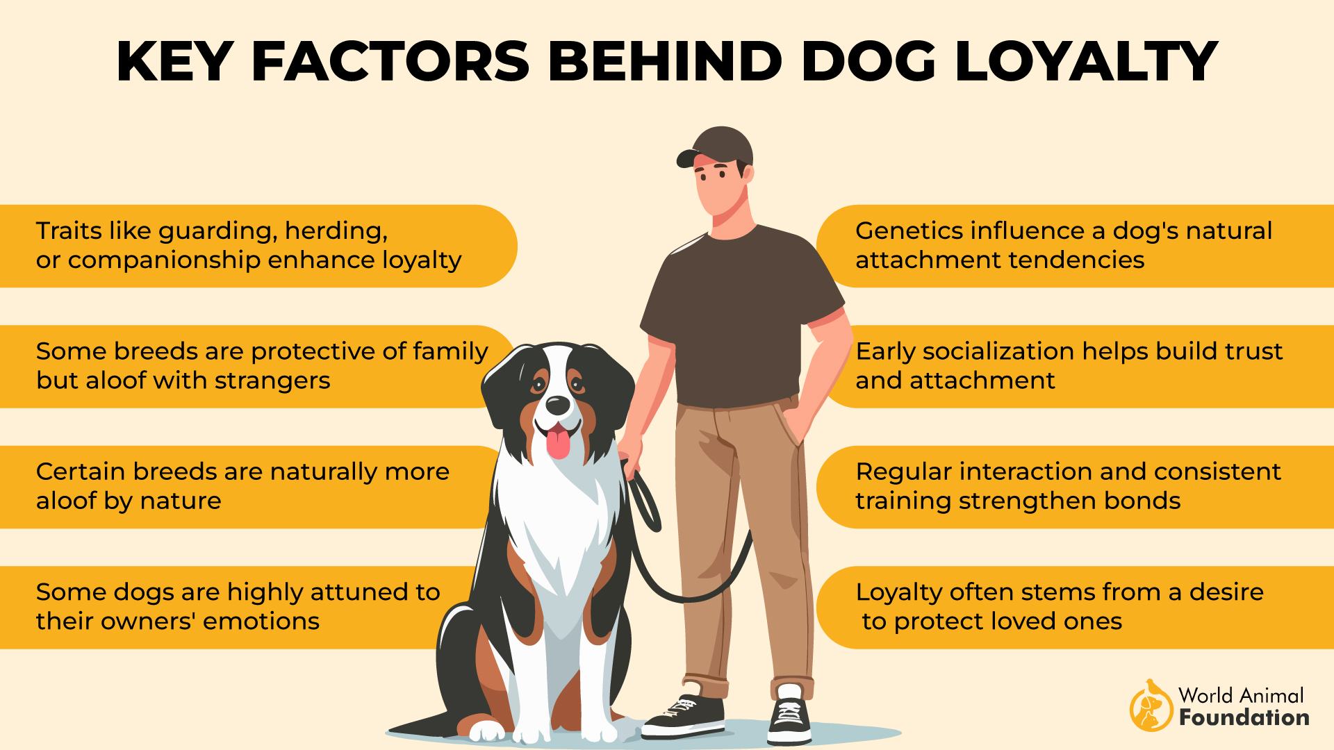 Key Factors Behind Dog Loyalty-01