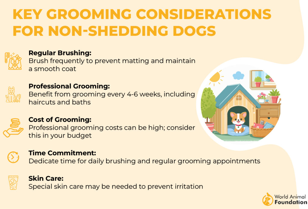 Key Grooming Considerations for Non Shedding Dogs 01