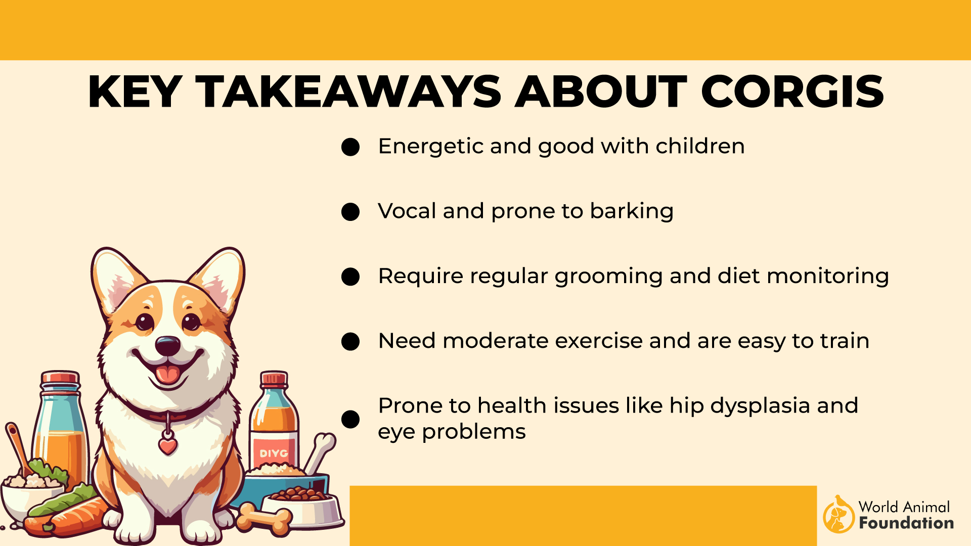 Key Takeaways About Corgis-01