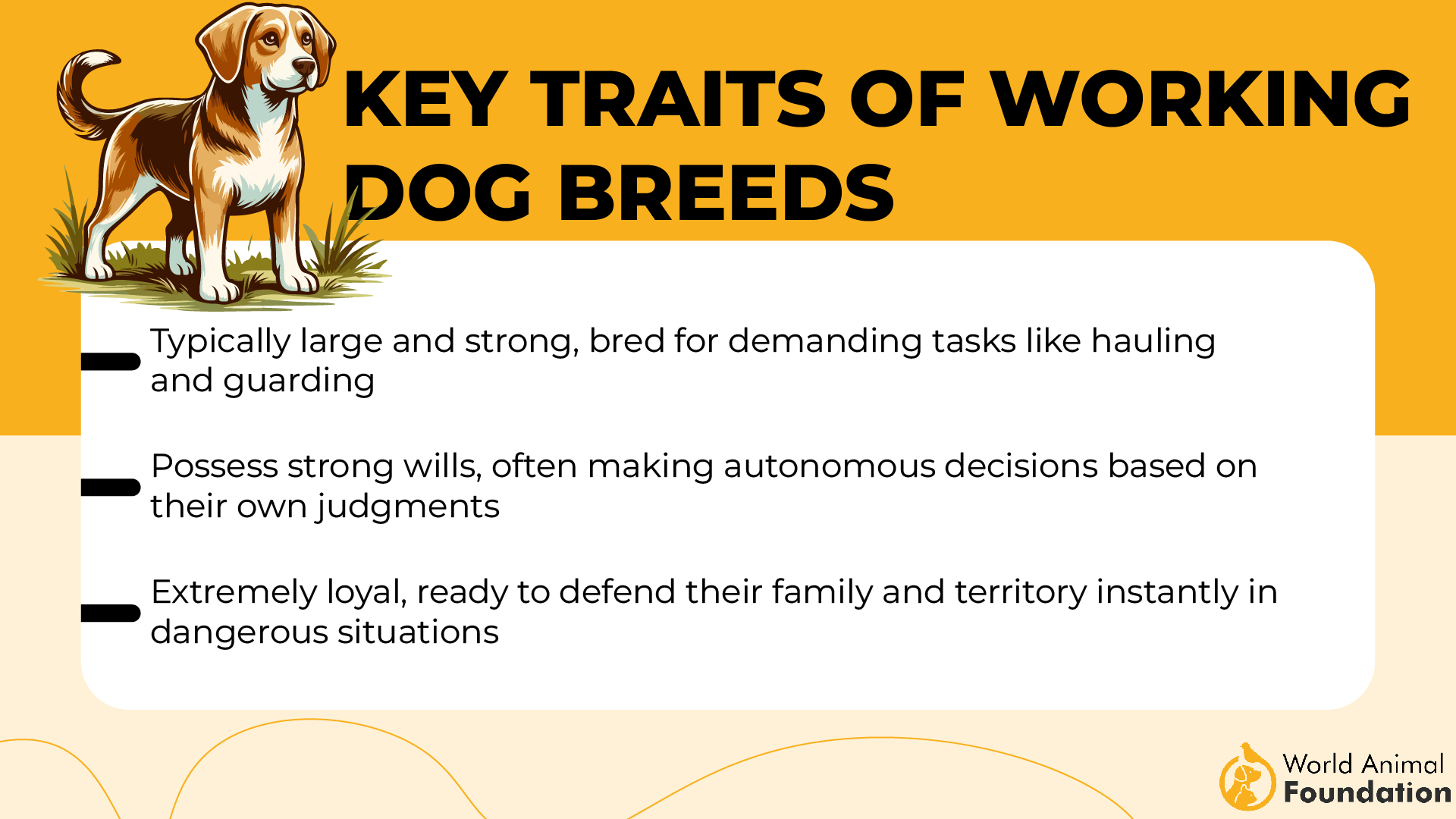 Key Traits of Working Dog Breeds-01