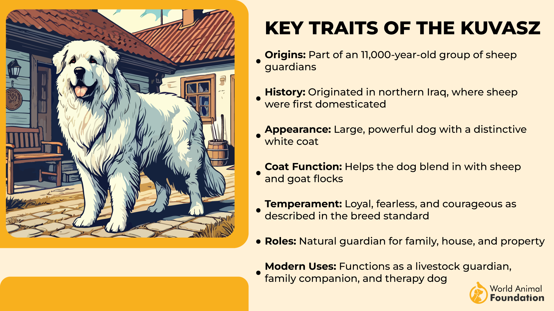 Key Traits of the Kuvasz-01