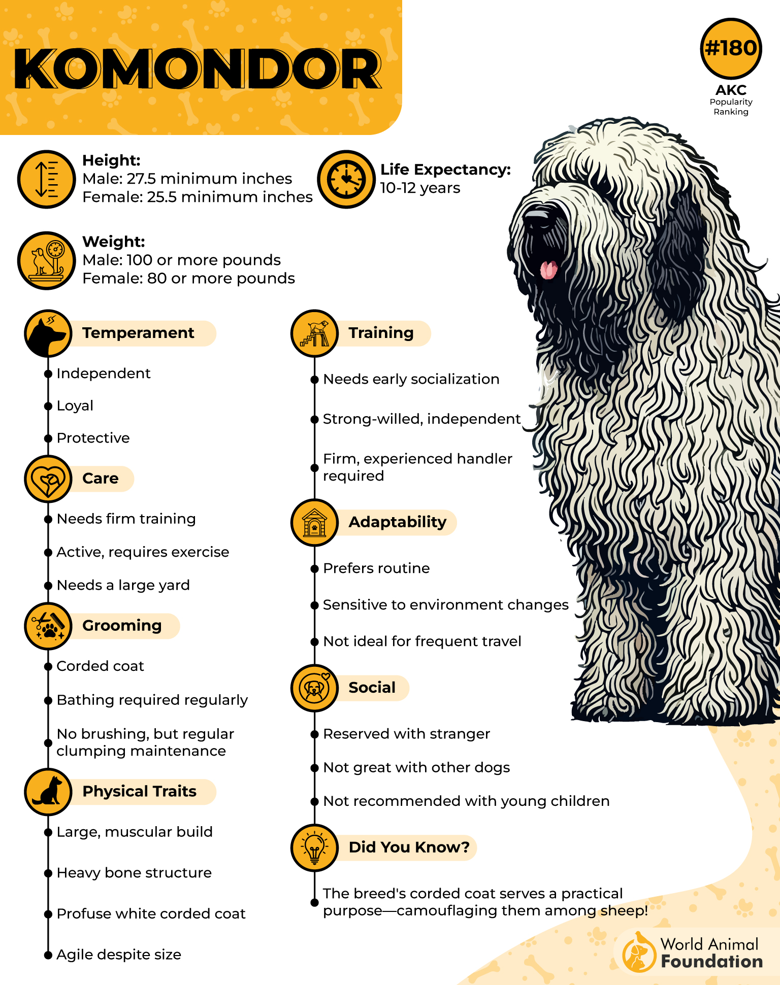 Komondor Profile