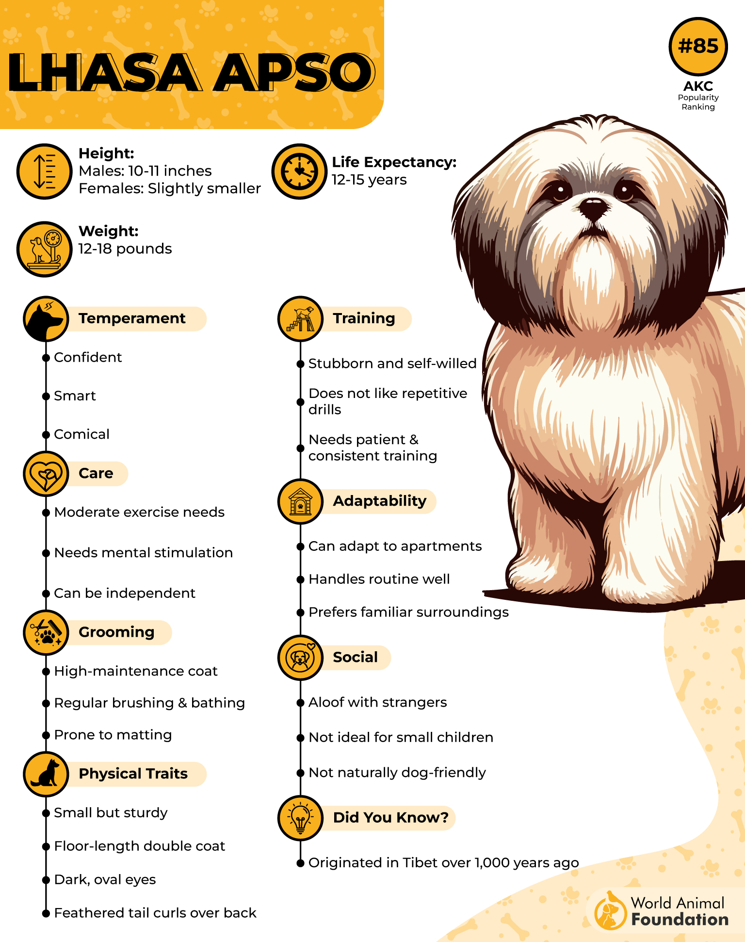 Lhasa Apso Profile