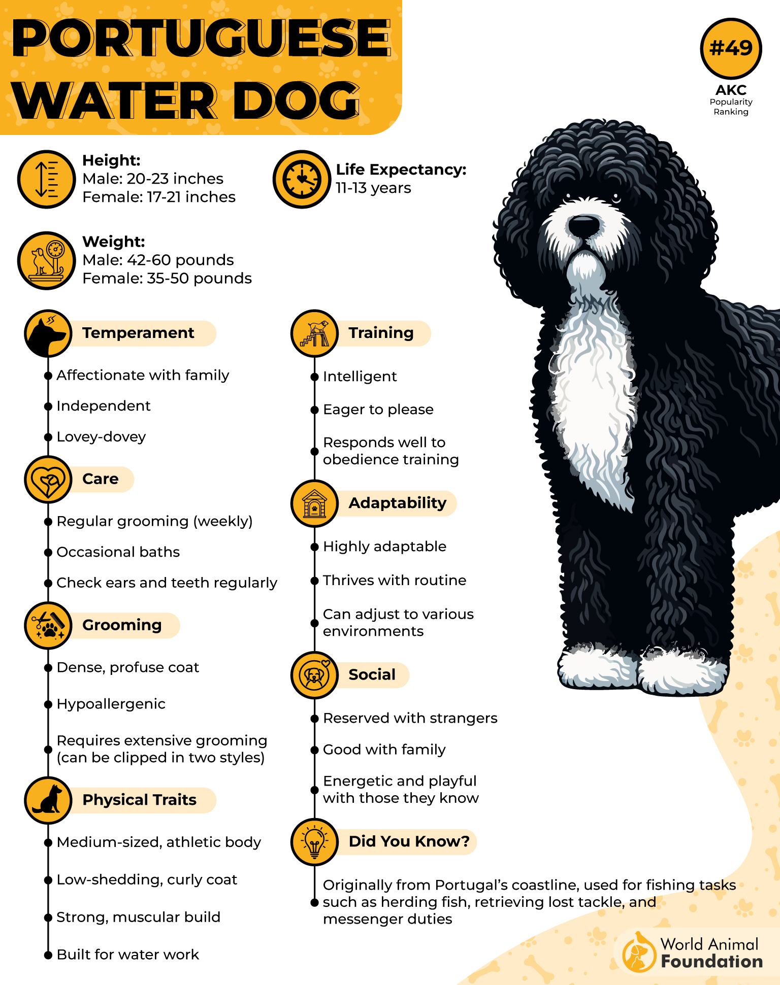 Portuguese Water Dog Profile