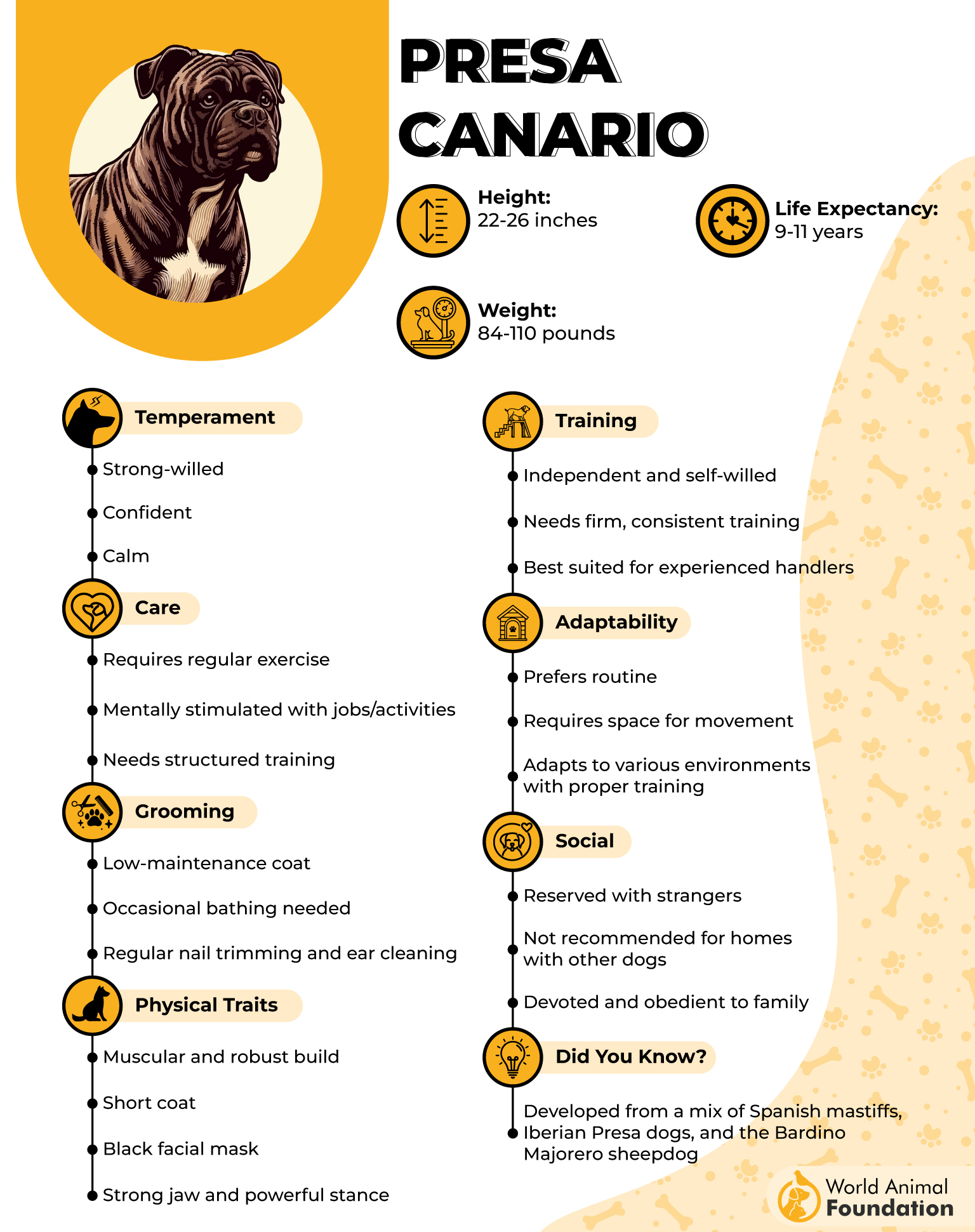 Presa Canario Profile